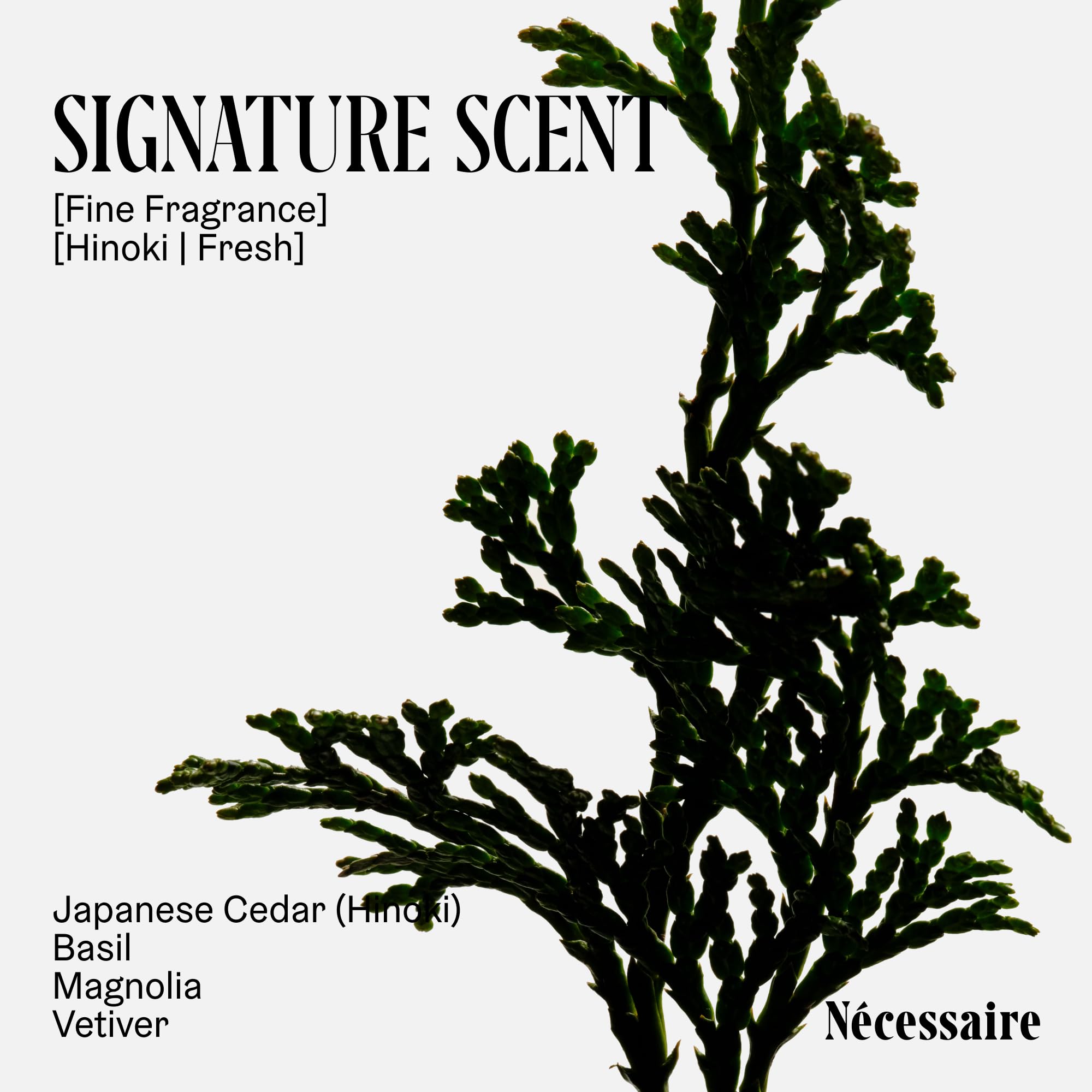 Daily cleanse shot showing Nécessaire Hinoki bath time routine