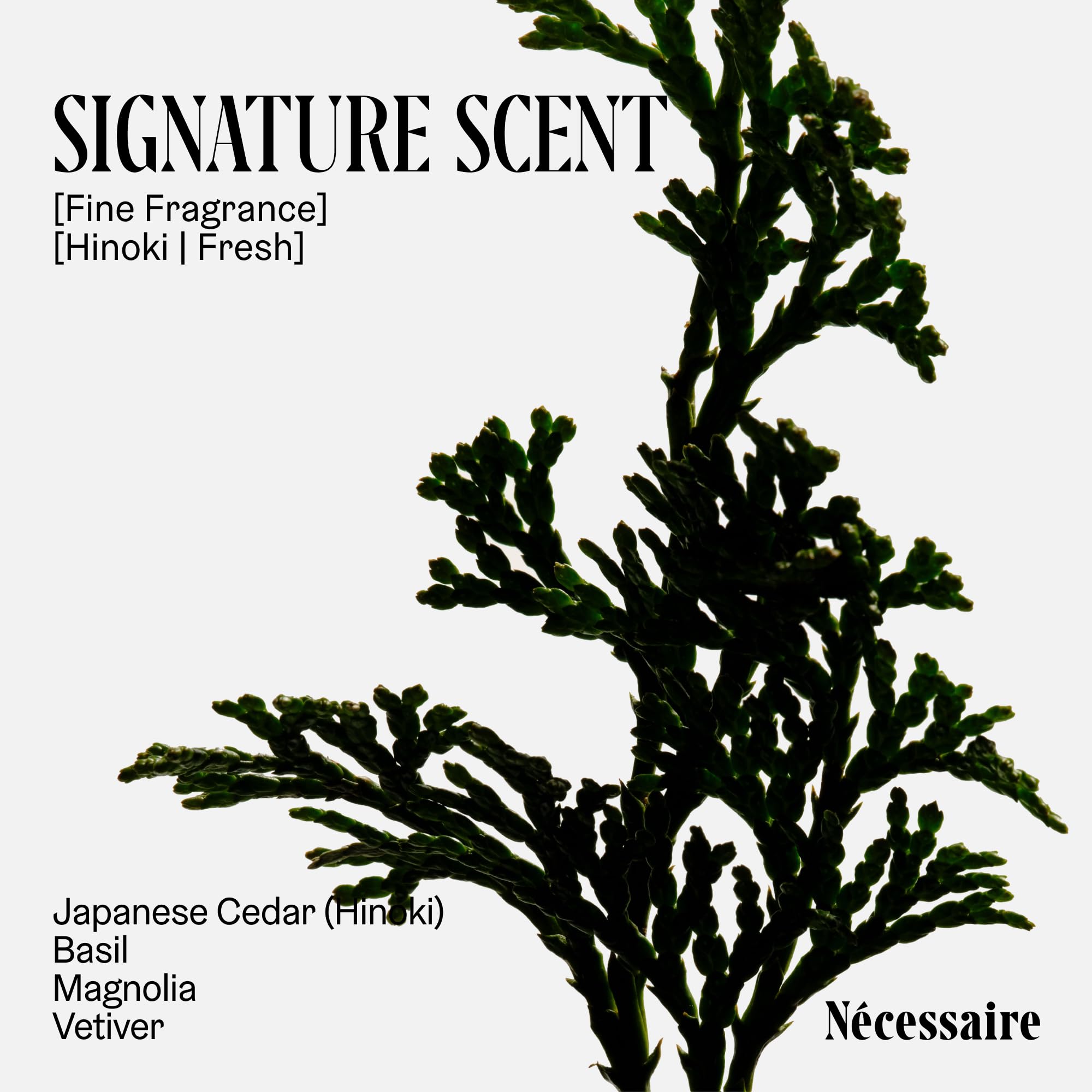 Nécessaire Hinoki cedar oil close-up showcases natural fragrance notes.