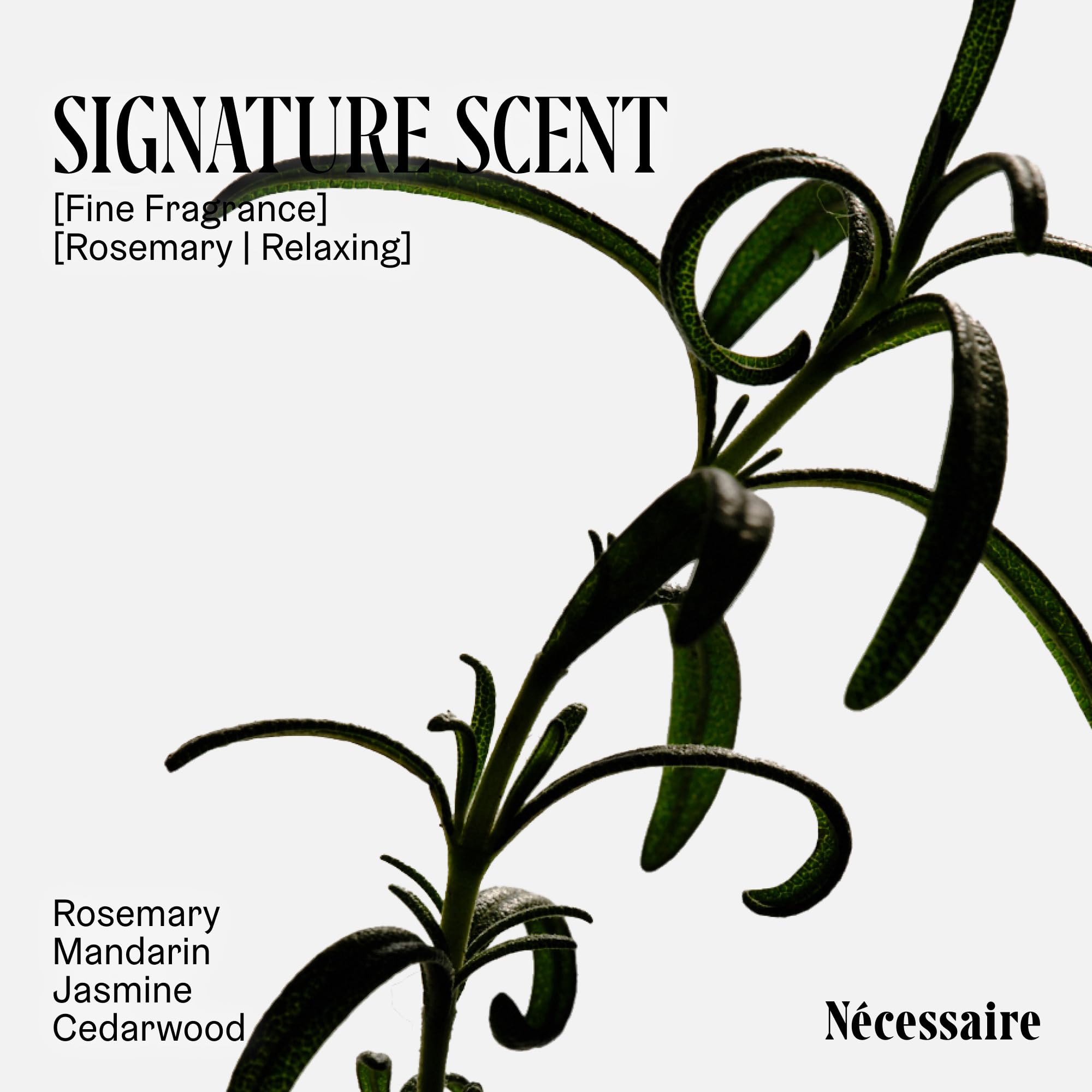 Nécessaire Rosemary product in hand conveys a simple, daily scalp care routine.
