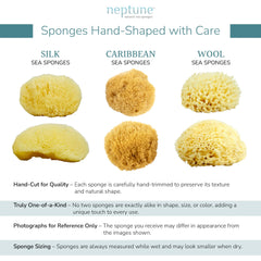 Wet sponge expands to full size, highlighting absorbency and eco-friendly use