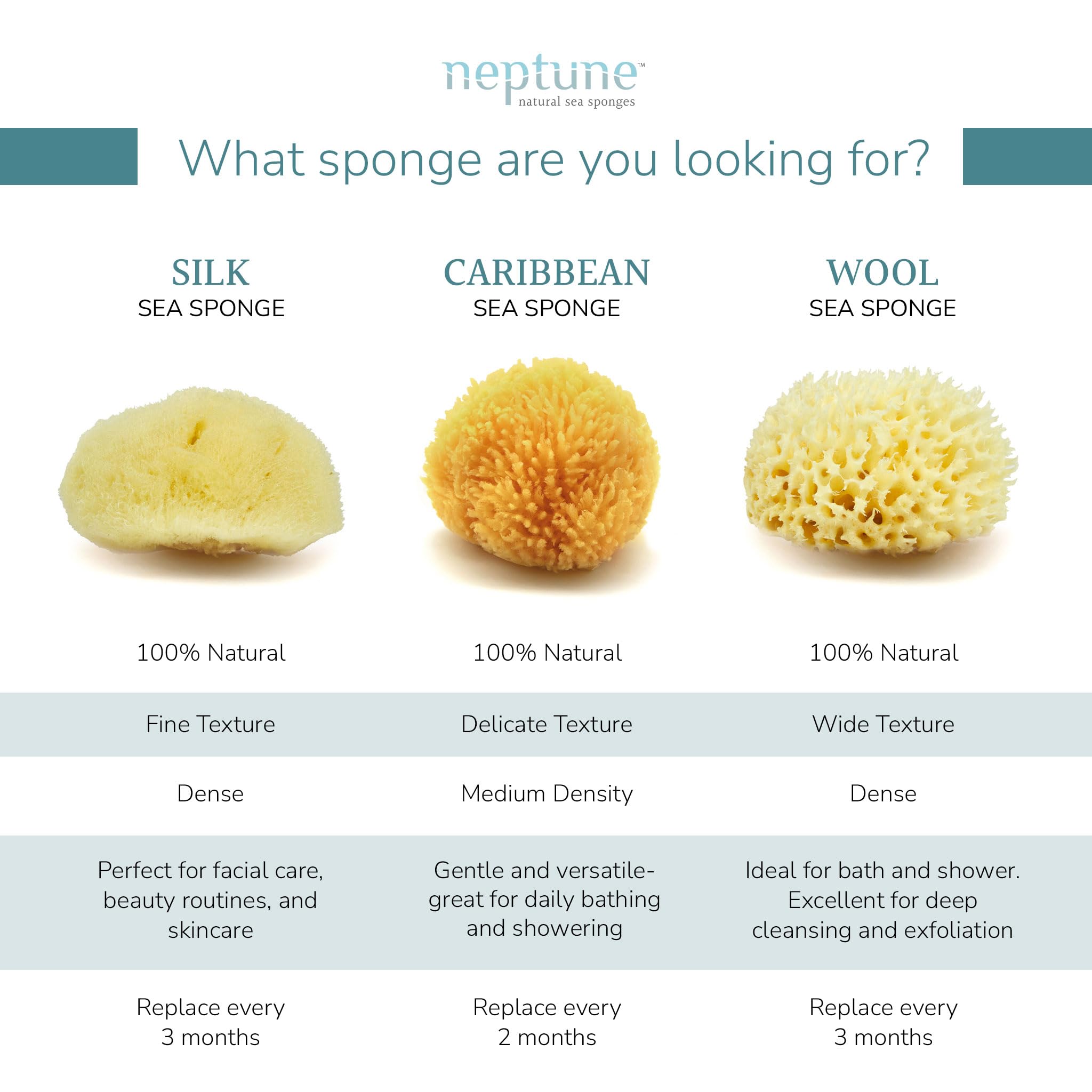 Neptune Caribbean Sea Sponge texture appears ultra-soft for delicate cleansing