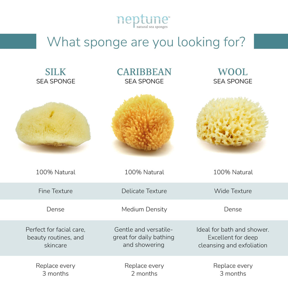Neptune Caribbean Sea Sponge texture appears ultra-soft for delicate cleansing