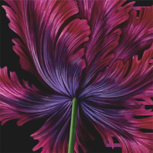 NEST New York Black Tulip applied to pulse points for lasting appeal.