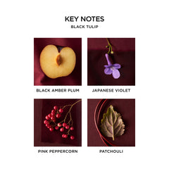 NEST New York Black Tulip packaging box highlights vegan, cruelty-free fragrance.