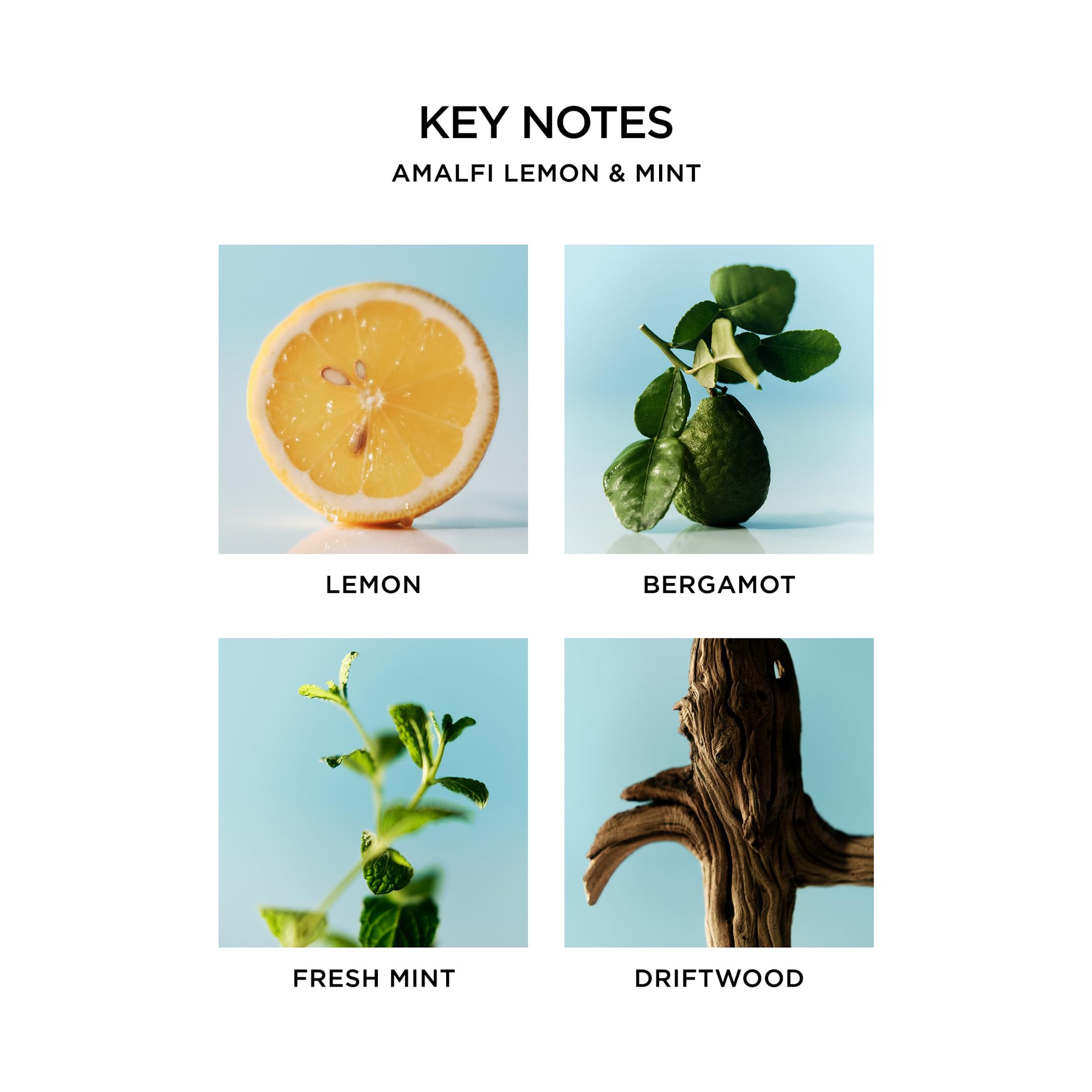 NEST New York Amalfi Lemon & Mint soap splash ready for kitchen or bath use