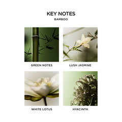 NEST New York Bamboo fragrance close-up reveals fresh florals and green notes.