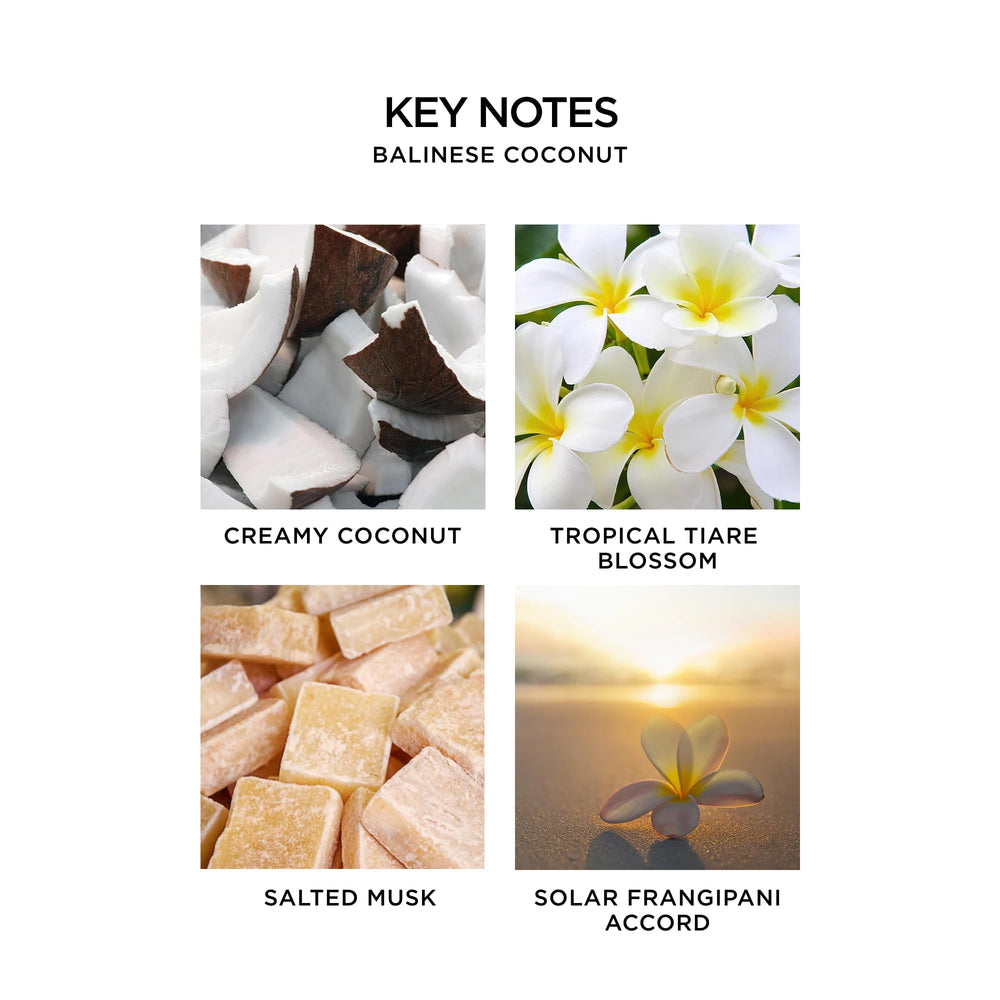 NEST New York Indian Jasmine perfume oil rollerball with jasmine scent and skin-softening baobab