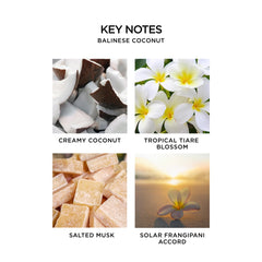 NEST New York Indian Jasmine perfume oil rollerball with jasmine scent and skin-softening baobab