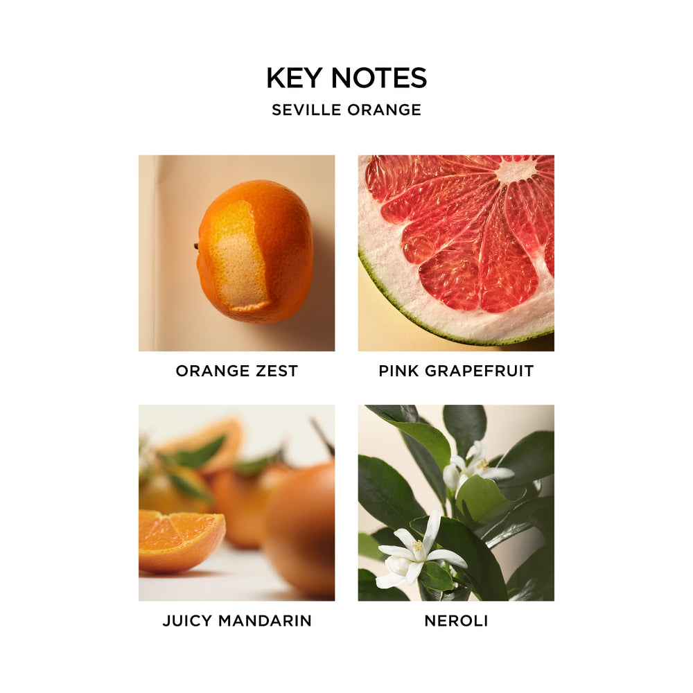 NEST New York Madagascar Vanilla perfume oil rollerball delivering warm vanilla with nourishing baobab oil