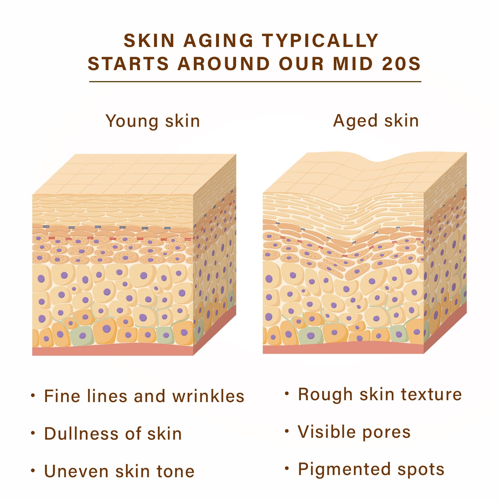 NEW ANGANCE mask hydration boost visual showing dewy, plump-looking skin.