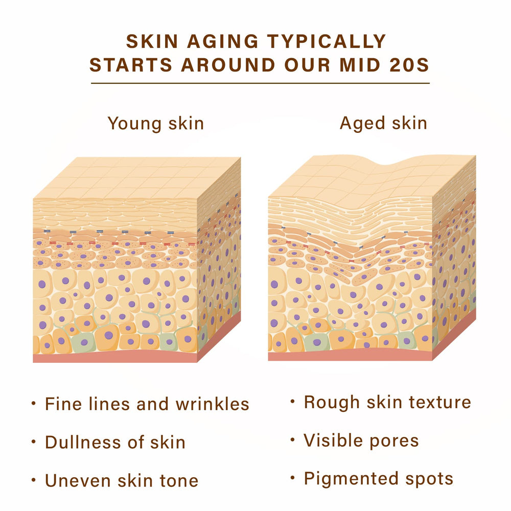 NEW ANGANCE mask hydration boost visual showing dewy, plump-looking skin.