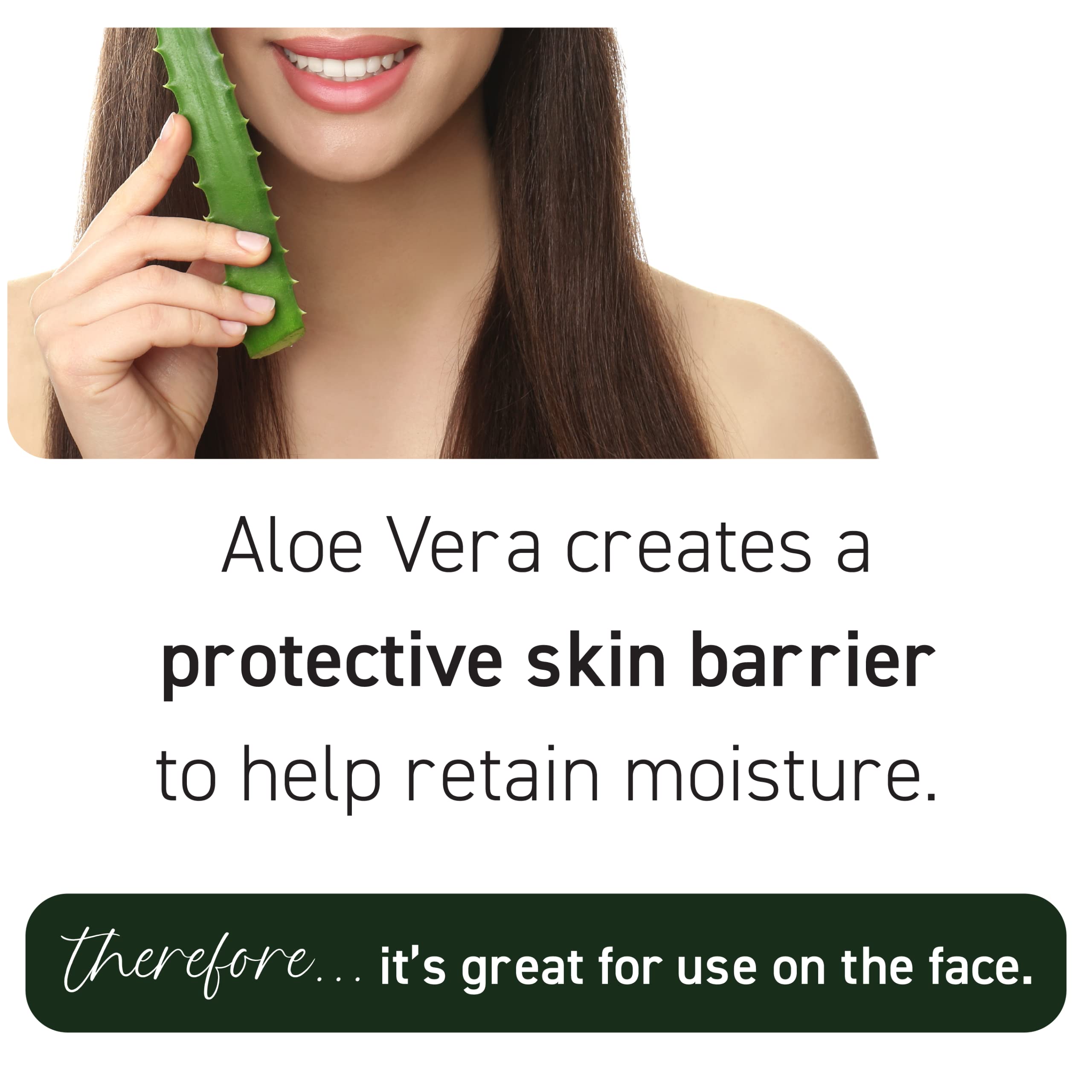 New York Biology Aloe Vera Plant fresh leaves for natural hydration.