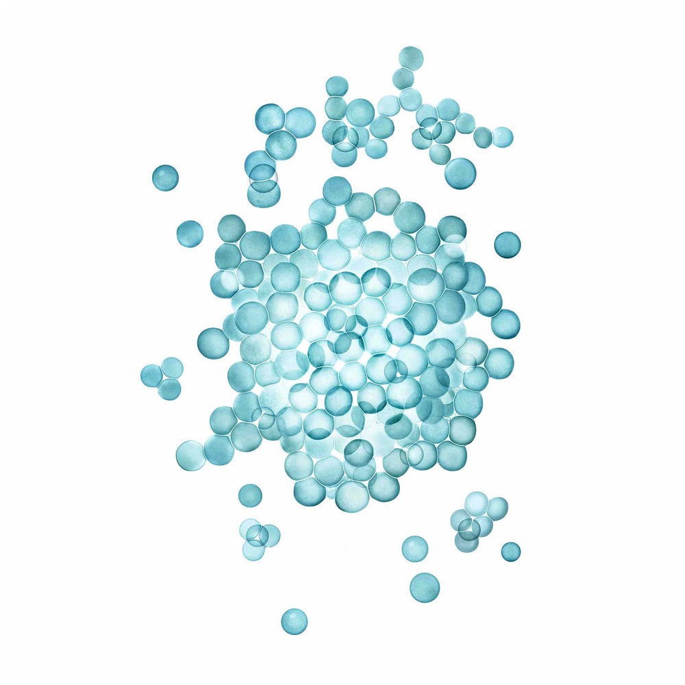 Nexxus Humectress: complejo caviar-proteína en el cabello para nutrición.