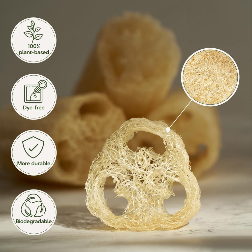 NileCart loofah lasts 2-3 months with regular use