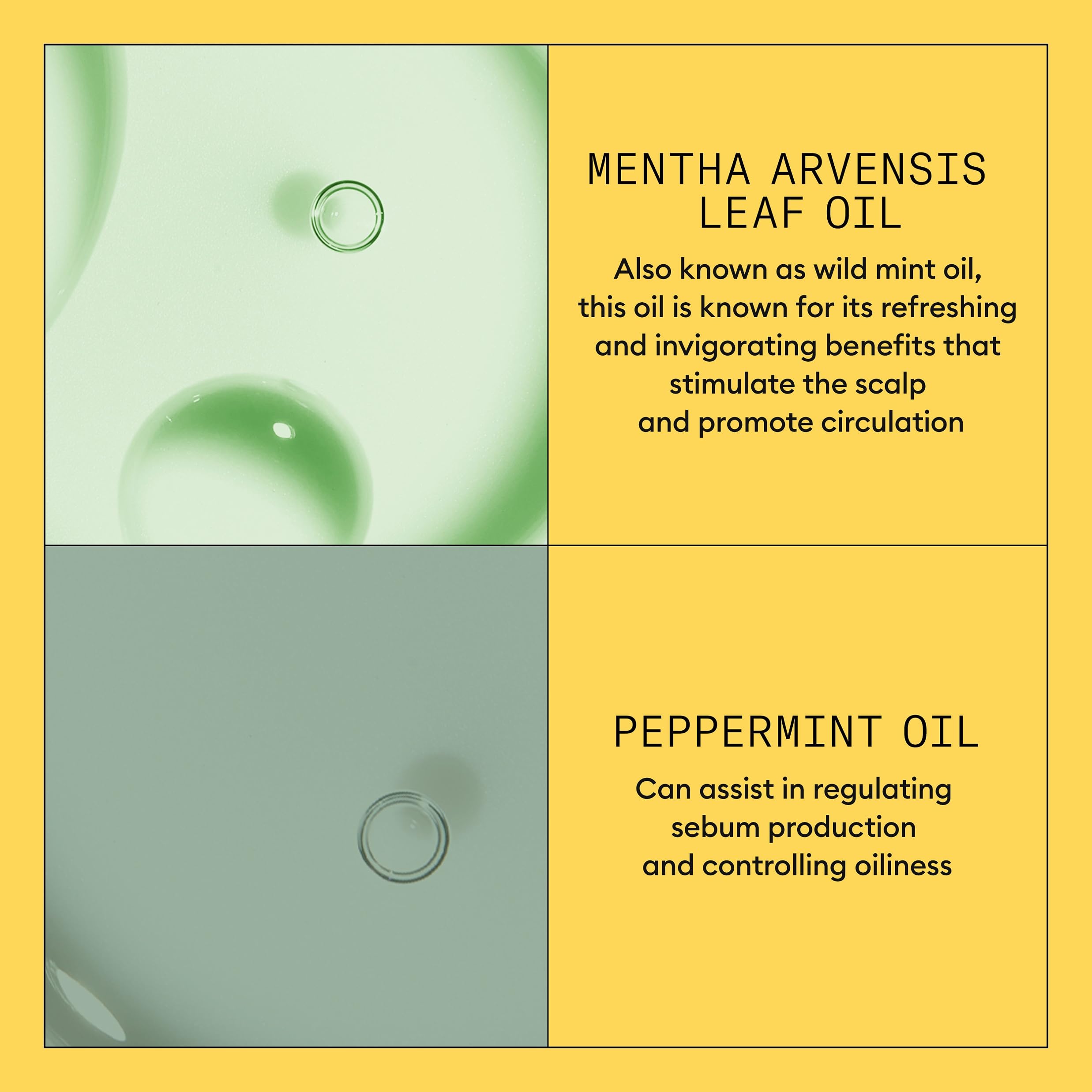 NIOXIN botanicals ingredient flatlay highlighting natural extracts and scalp care benefits