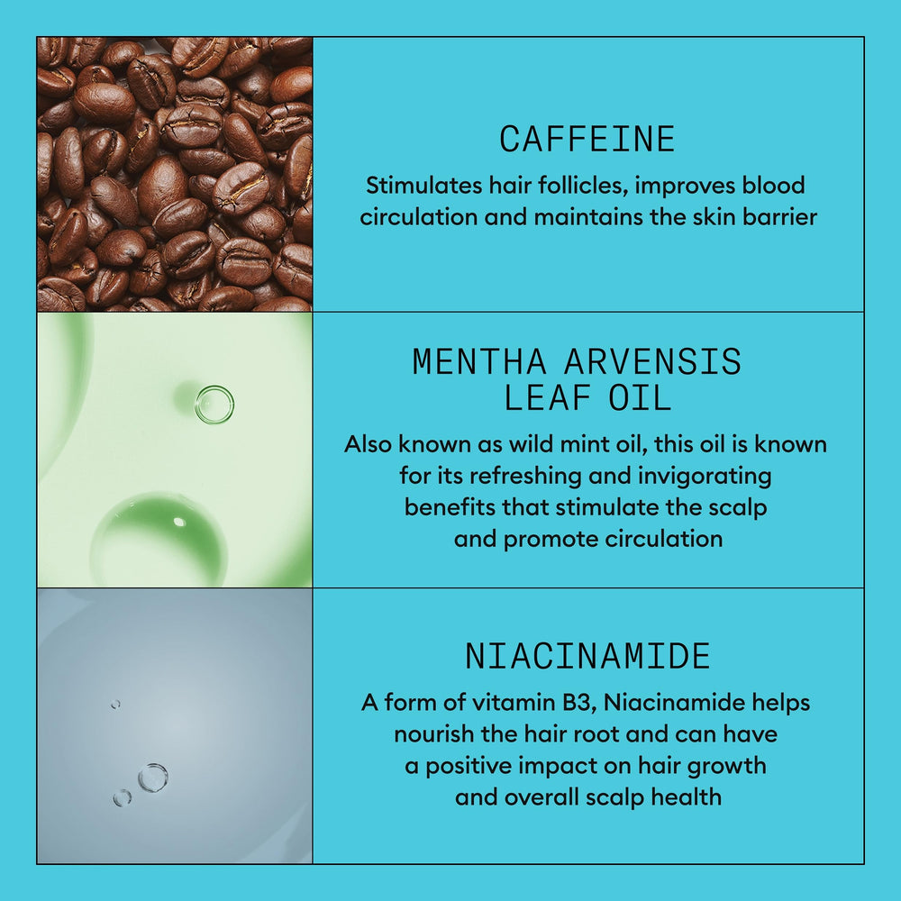 Nioxin System 3 label and ingredients panel showing botanicals and antioxidants for scalp health