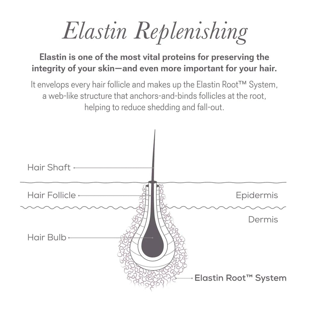 NULASTIN usage-brushing-brows demonstrates double-pass technique for enhanced brow definition.