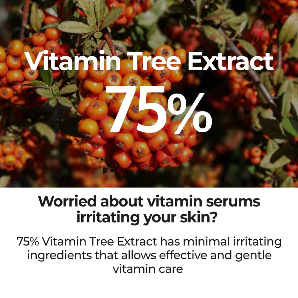 Numbuzin No.5 Serum features Vitamin C and Niacinamide for brighter tone.
