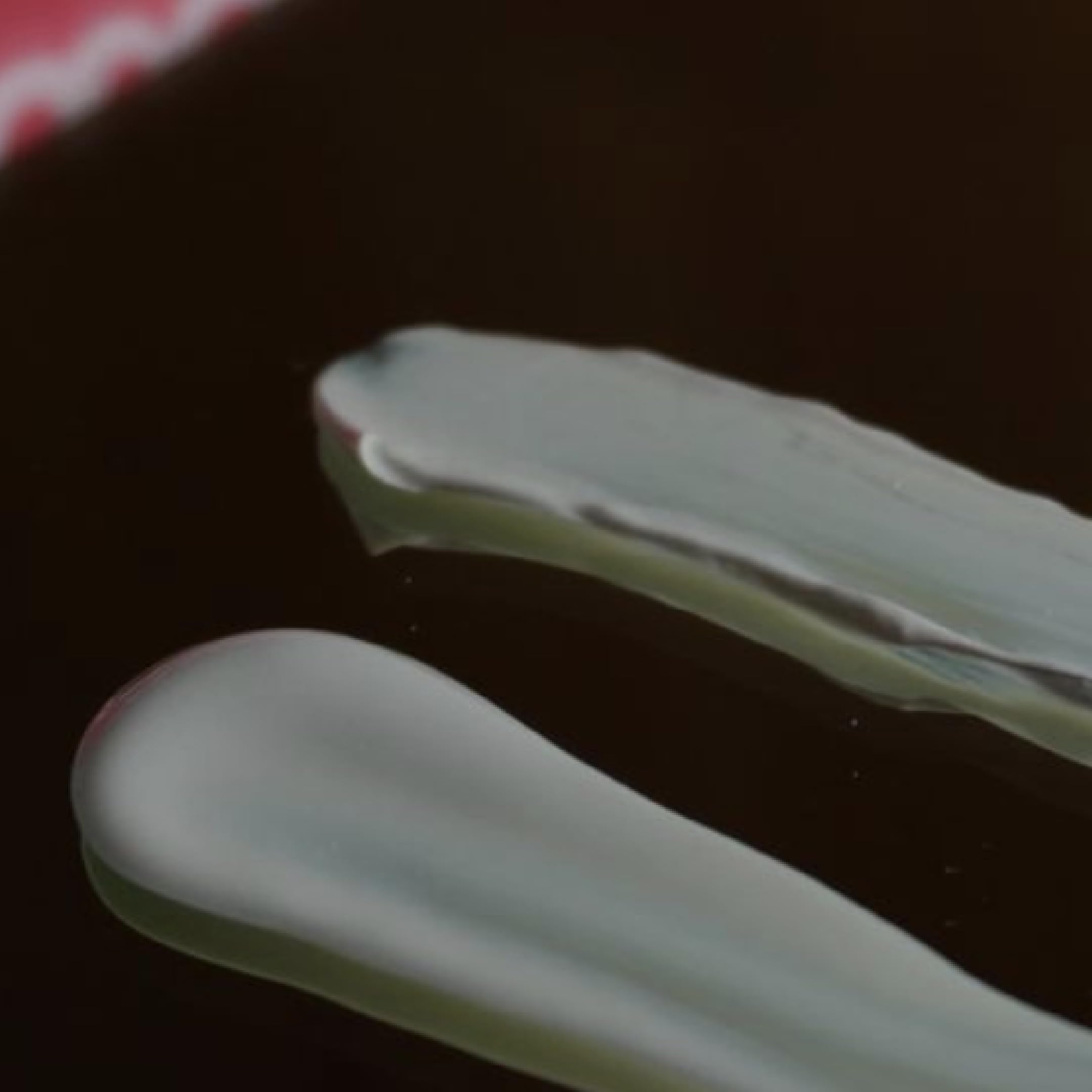Nuud works for both women and men to keep armpits fresh