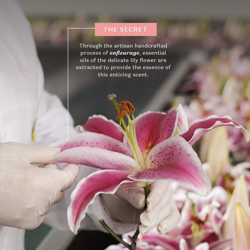 Cruelty-free Lily Satin packaging signals ethical care
