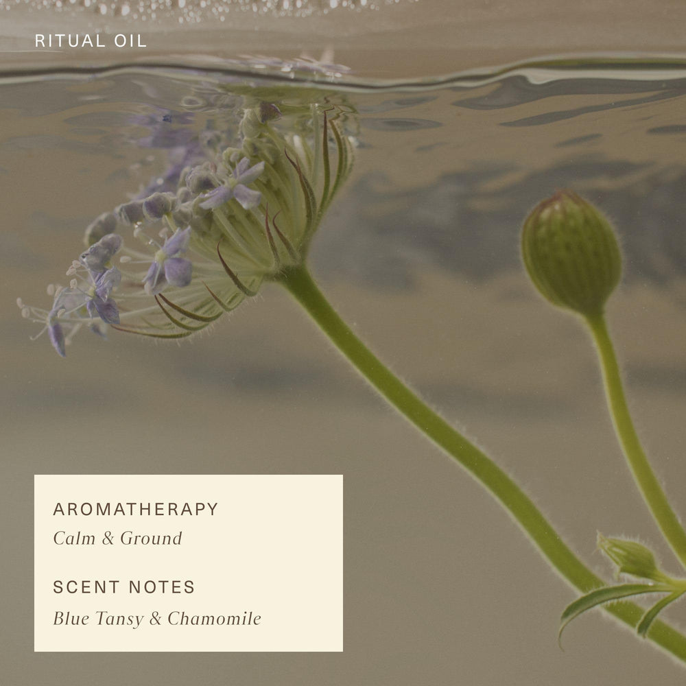 Oak Essentials blue tansy aromatherapy scene conveying spa-like calm.