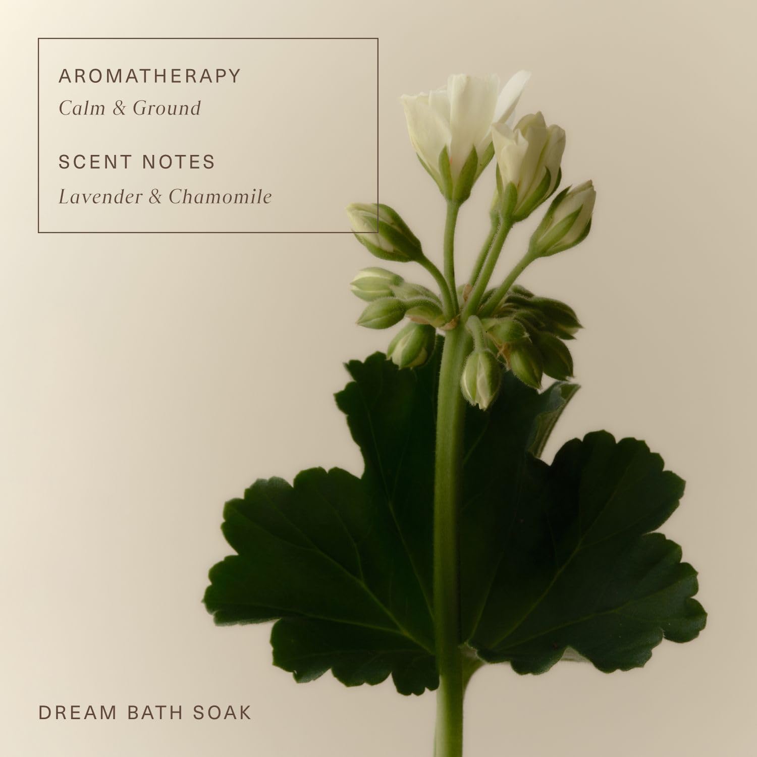 Oak Essentials Dream Bath Soak label close-up emphasizing calming mood and luxurious ritual.