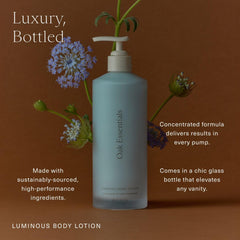 Oak Essentials Turmeric Root boost image highlights antioxidant support for healthy-looking skin