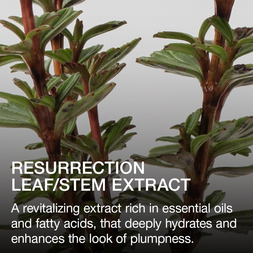 Ogee Beyond Clean Lip Gloss Resurrection Leaf Extract label hints nourishing botanicals.