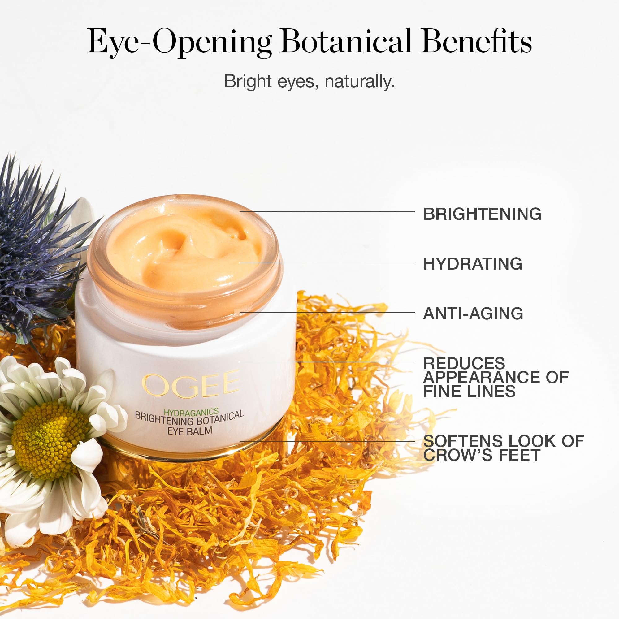 Ogee Botanical Eye Balm ingredients bottle features bakuchiol and hyaluronic acid.