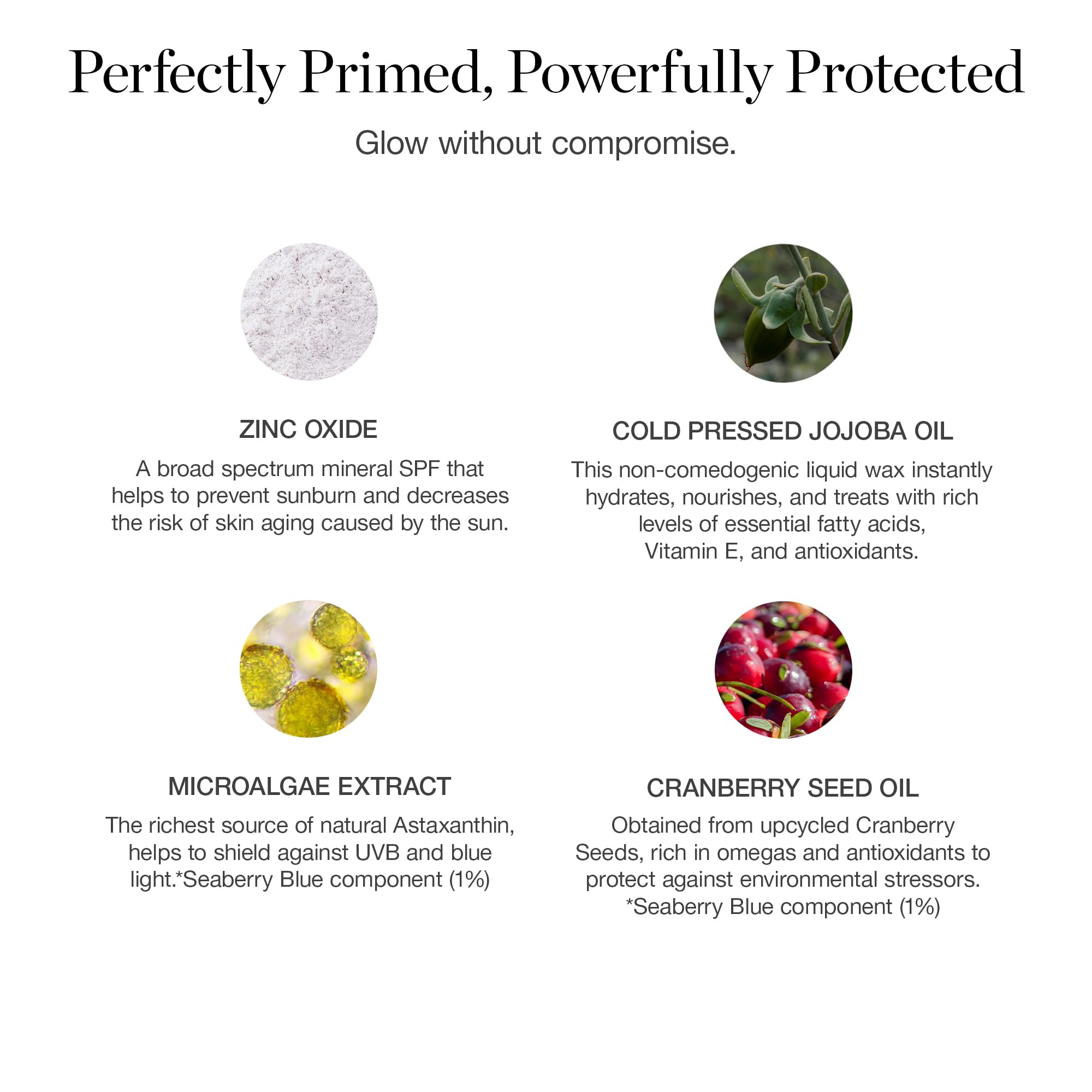 Ogee PROTECT Primer SPF 40 ingredients image emphasizes gooseberry and cranberry oils for skin nourishment