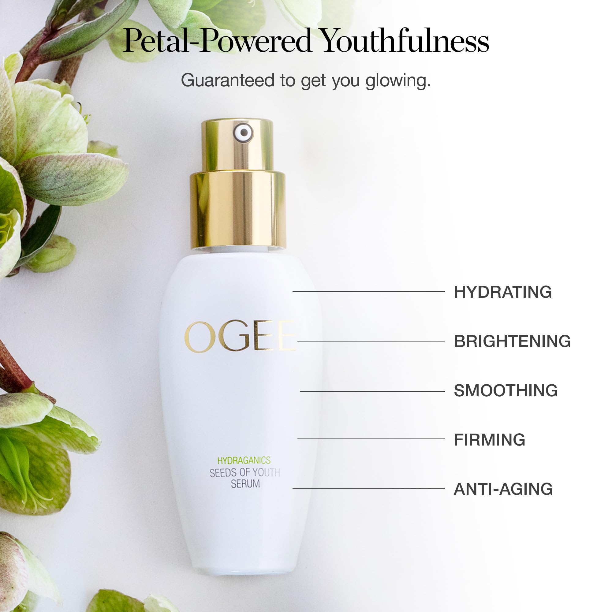 Ogee Seeds of Youth Serum Edelweiss stem cells 2% highlight luminosity potential