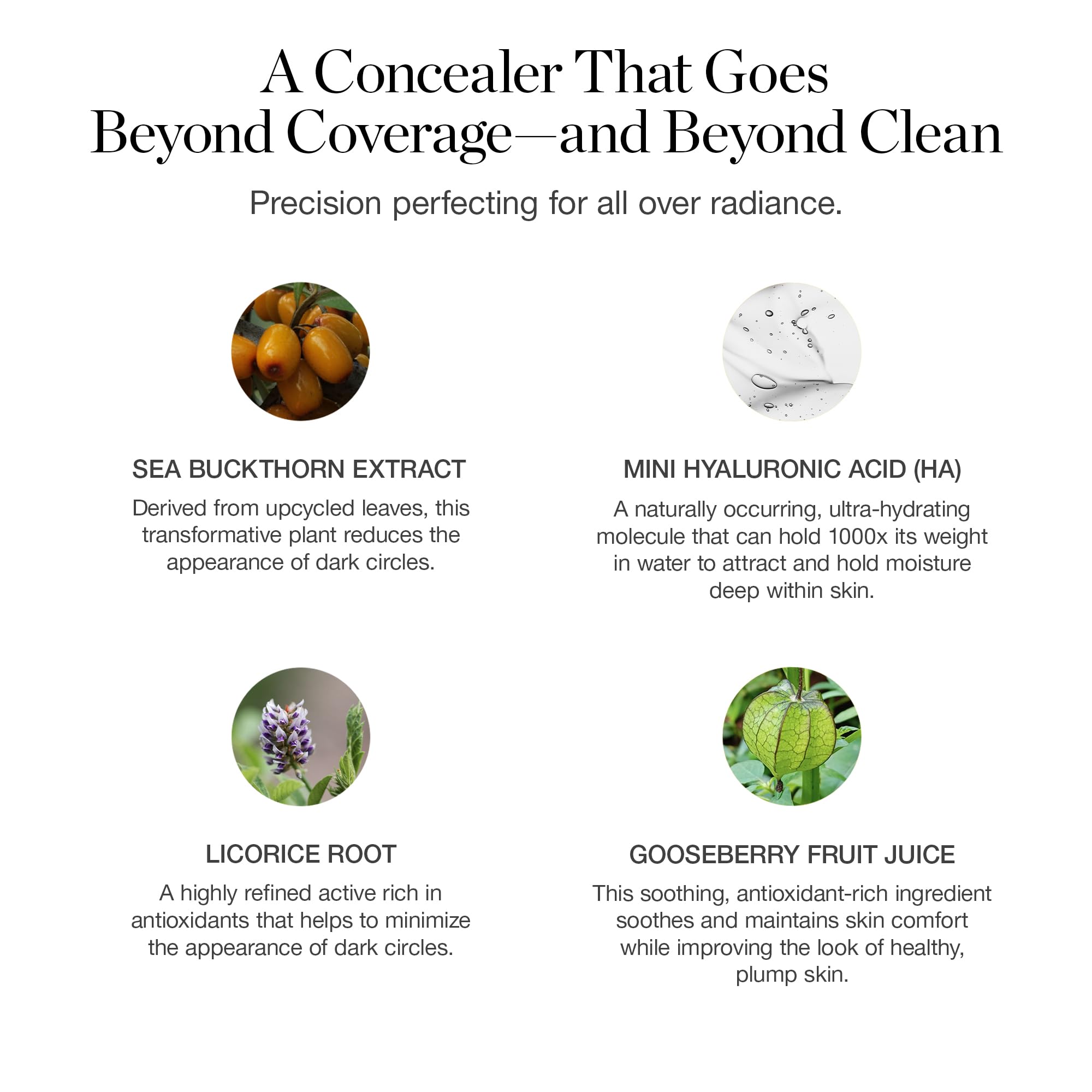 Ogee Rosewood full-coverage concealer on skin for dewy crease-free finish