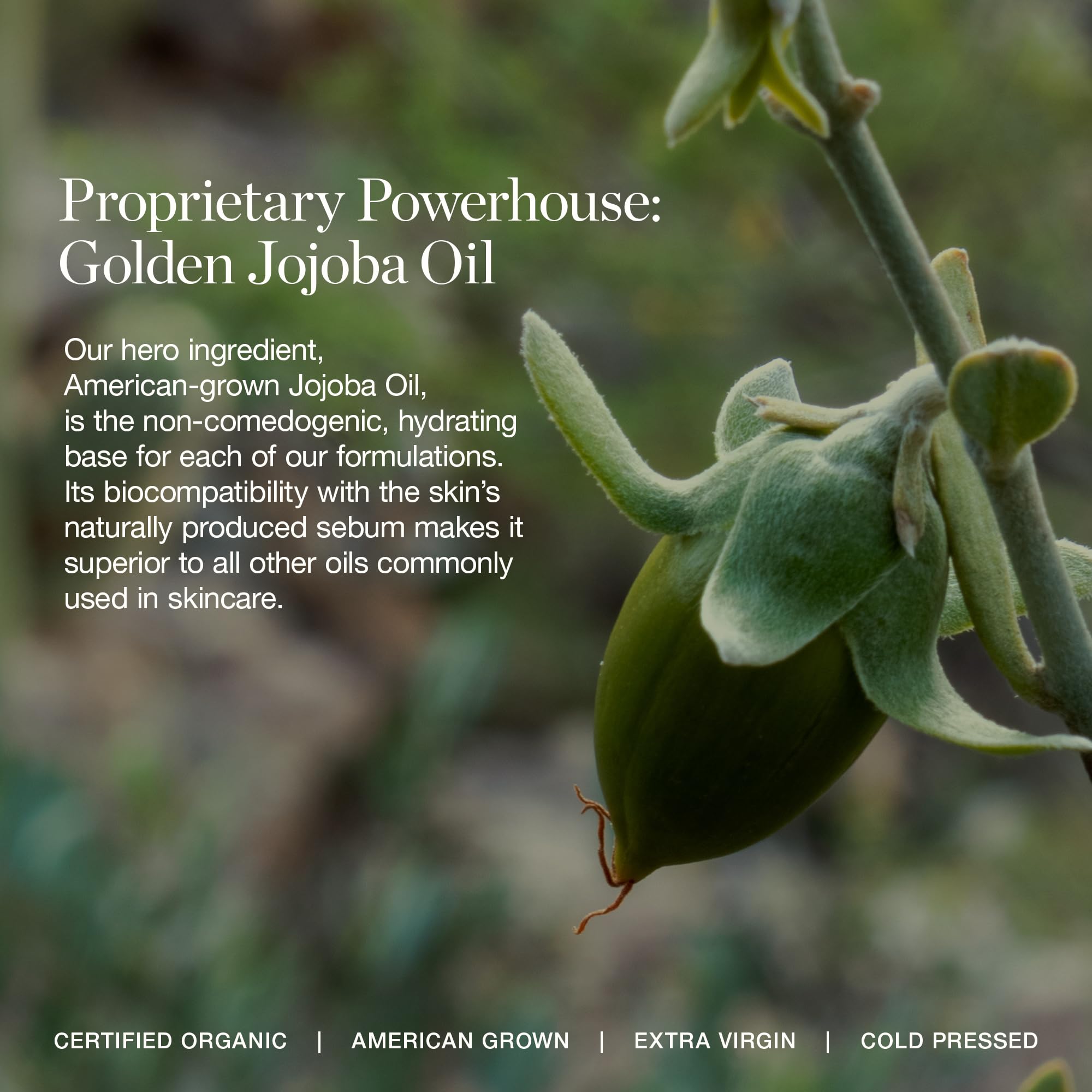 Ogee Rosewood packaging highlights certified organic and cruelty-free credentials