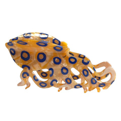 OMG Decor novelty blue-ringed octopus hair clip closeup, glossy acetate for everyday styling.