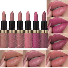 ORANOT 6pc matte lipstick nude swatches showcase versatile long-wear nude shades.