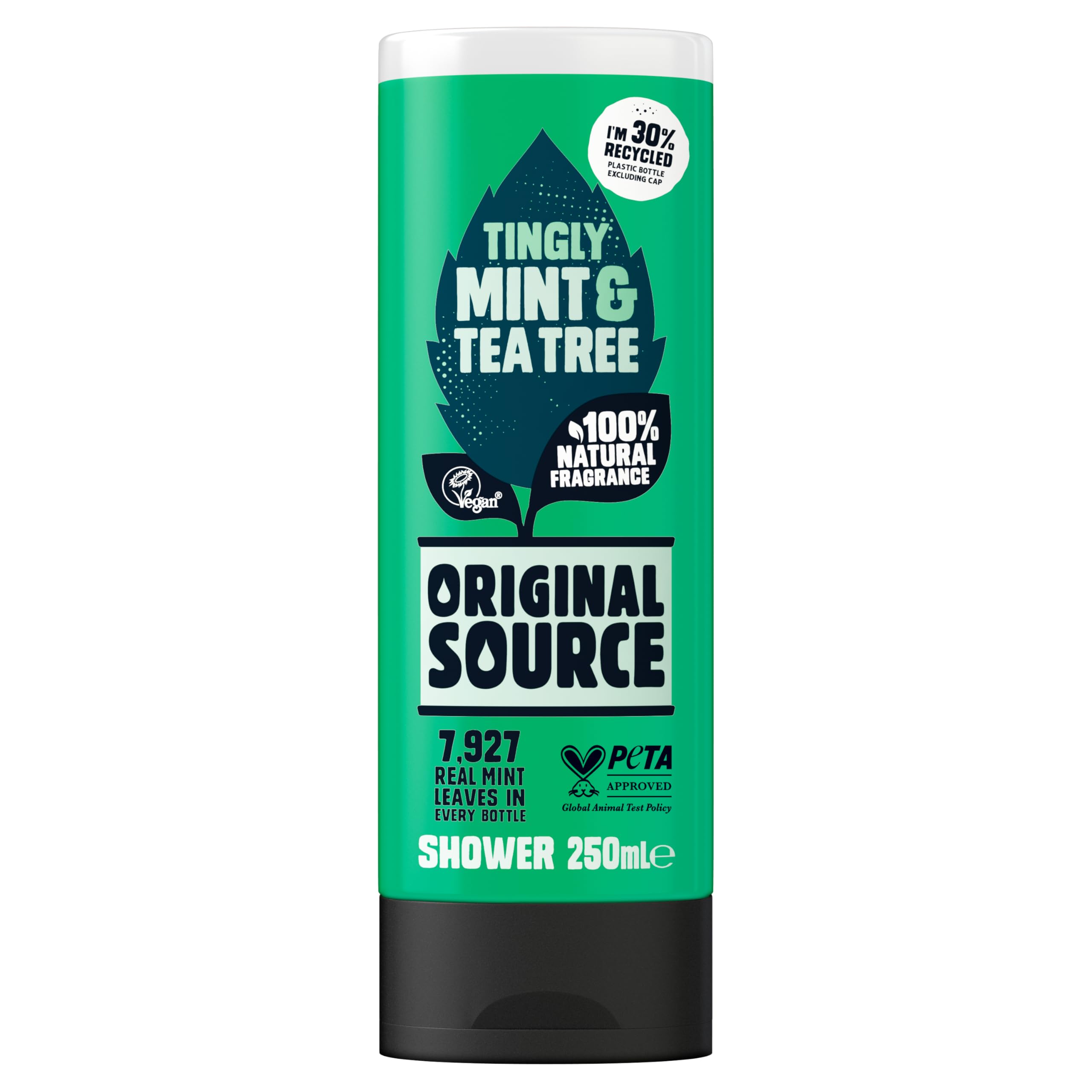 Original Source Tea Tree & Mint ingredients close-up with fresh botanicals.
