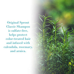 Original Sprout Classic Shampoo on color-treated hair indicating color-safe cleansing