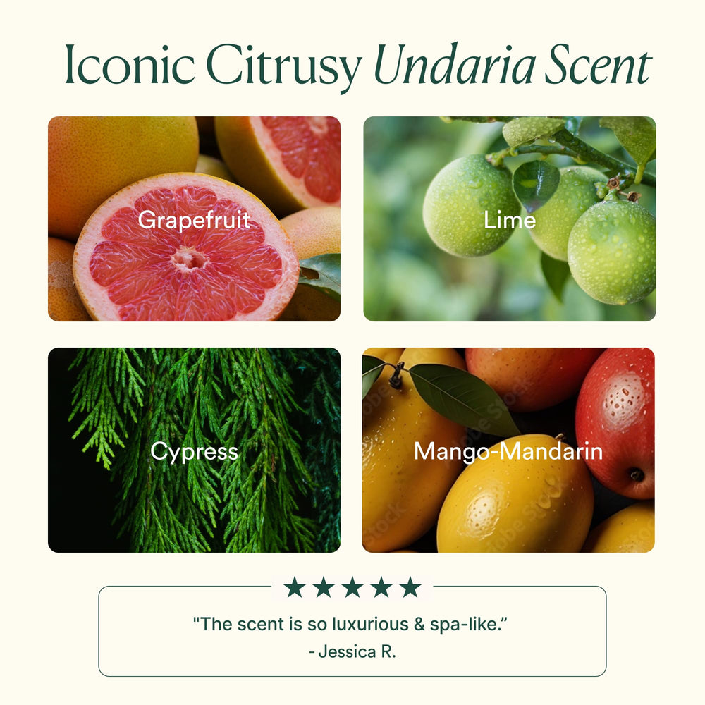 Graphic highlight shows hyaluronic acid boosting hydration in OSEA Undaria Algae Body Lotion