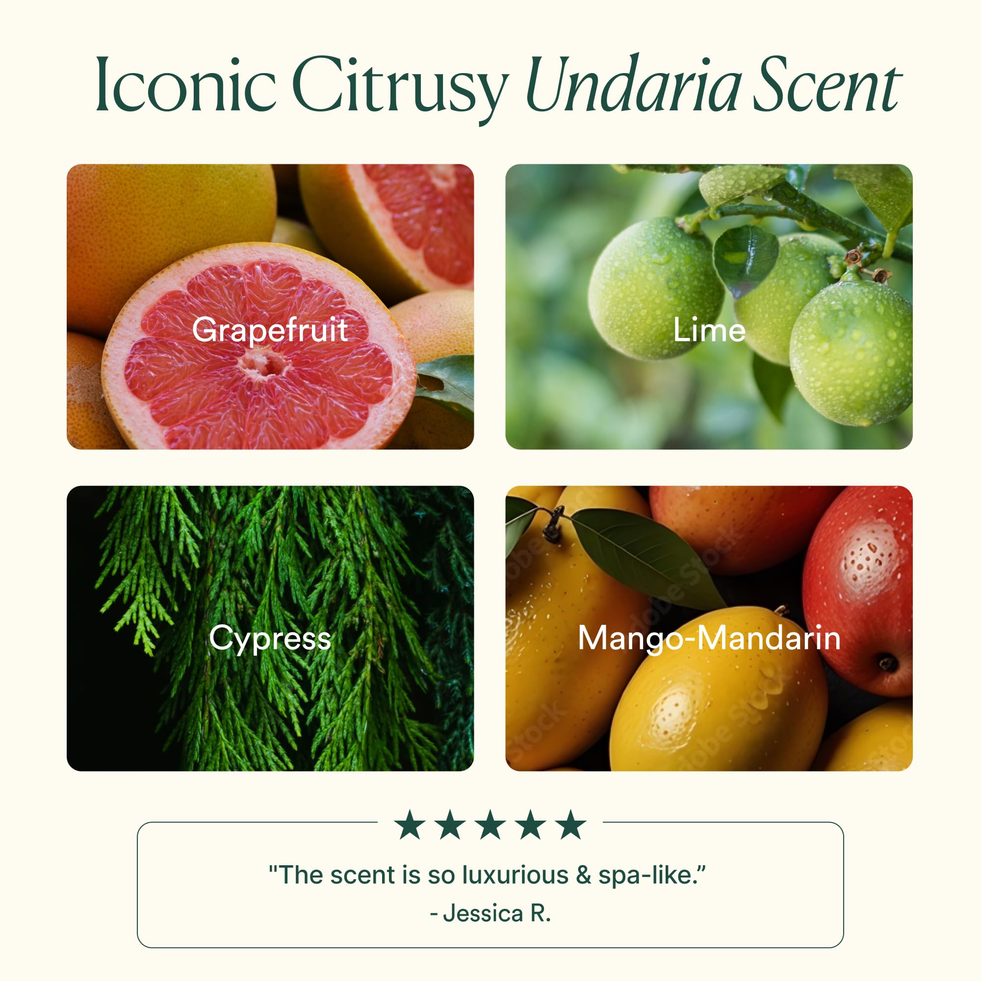 OSEA Undaria Algae Body Oil bottle label highlights seaweed powered, clean vegan formulation.