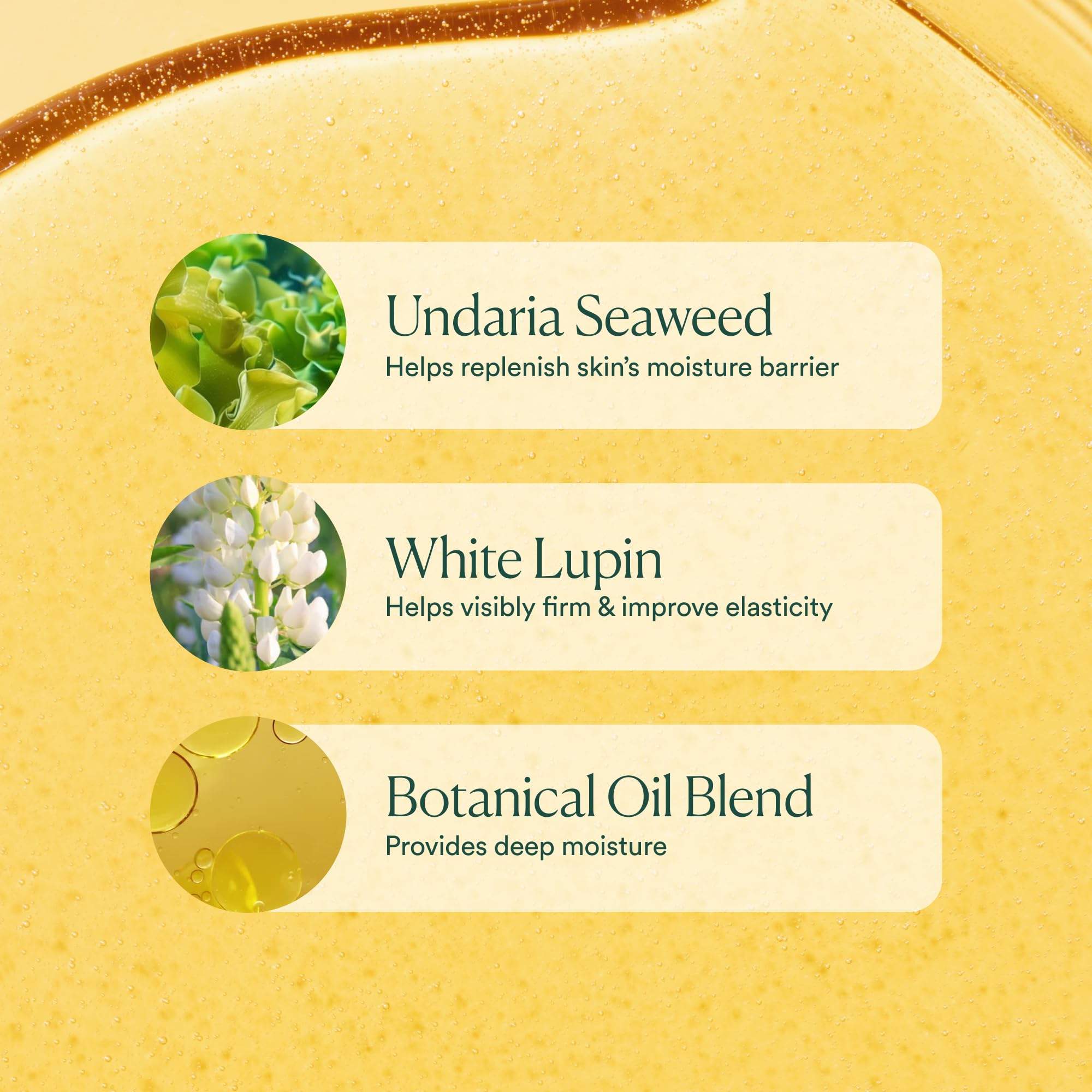 OSEA Undaria Algae Body Oil seaweed infusion communicates natural skincare nourishment.