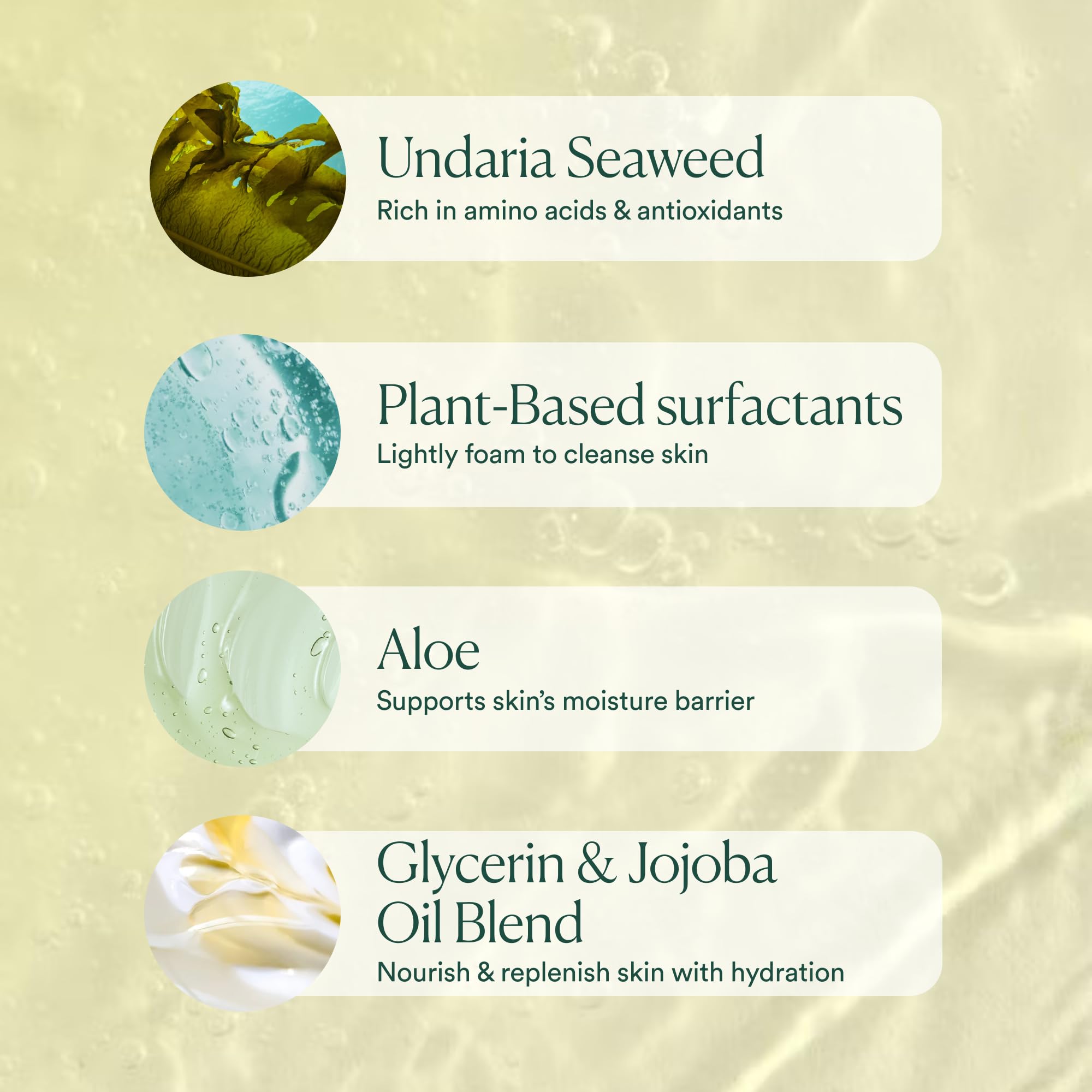 OSEA Undaria Algae Body Wash made in USA with sustainable ingredients.