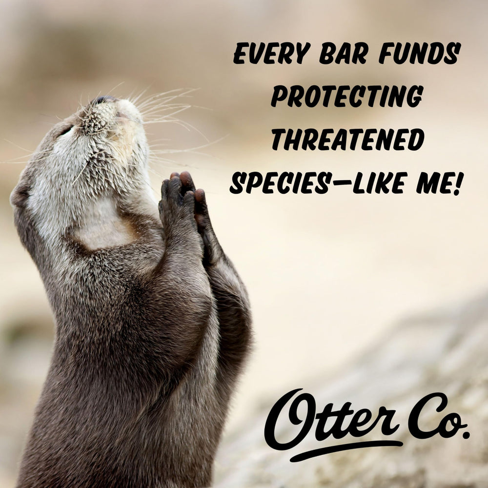 Otter Co. Kids Gentle Strawberry Shampoo Bar recyclable packaging reduces waste.