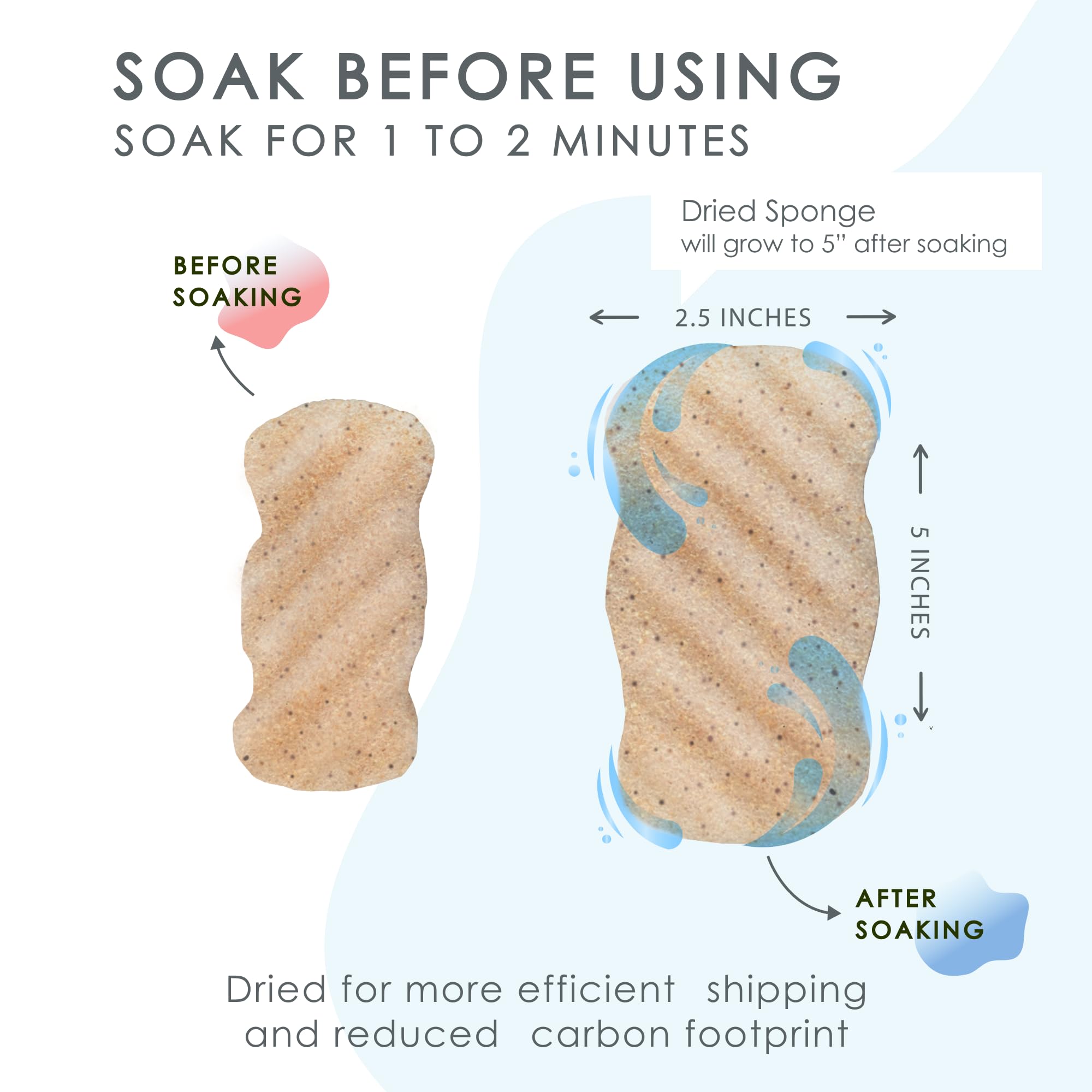 Our Earth Beauty konjac sponge body walnut dry storage demonstrates biodegradability and shelf friendly design.
