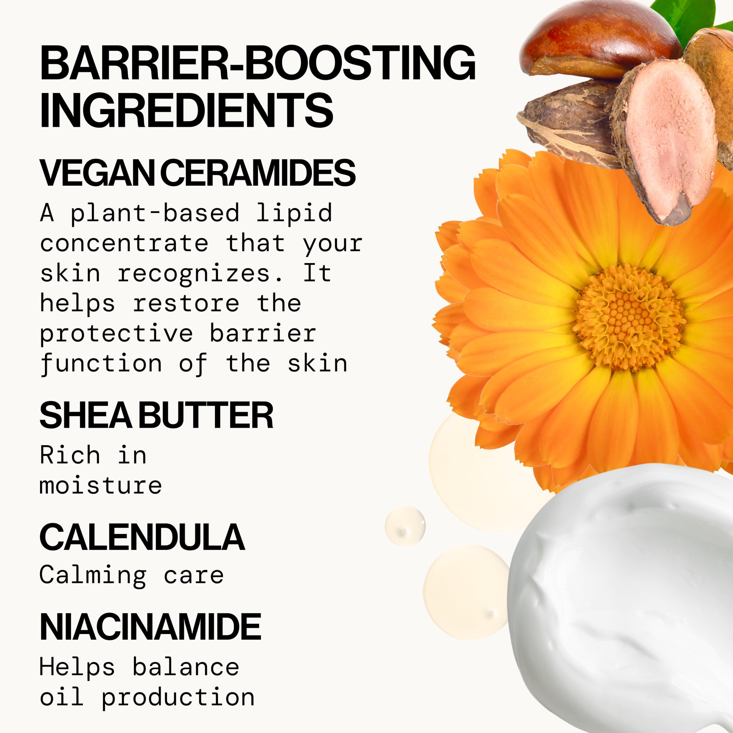 Pacifica Face Cream niacinamide ingredient spotlight highlights moisture retention