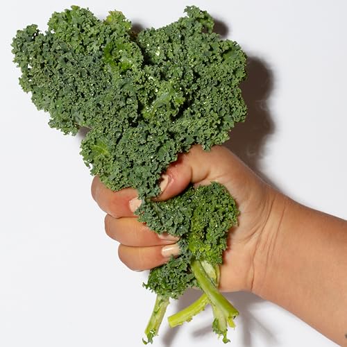 Aloe in Pacifica Kale Smoothie Face Lotion soothes and calms redness.