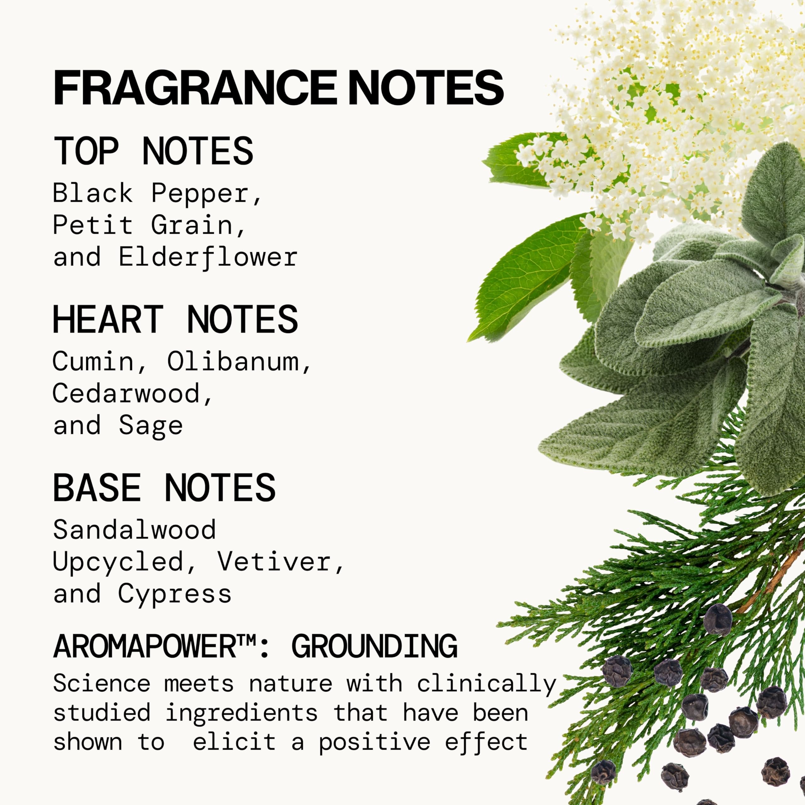 Pacifica Montana Sky elderflower top note visual emphasizes airy freshness.