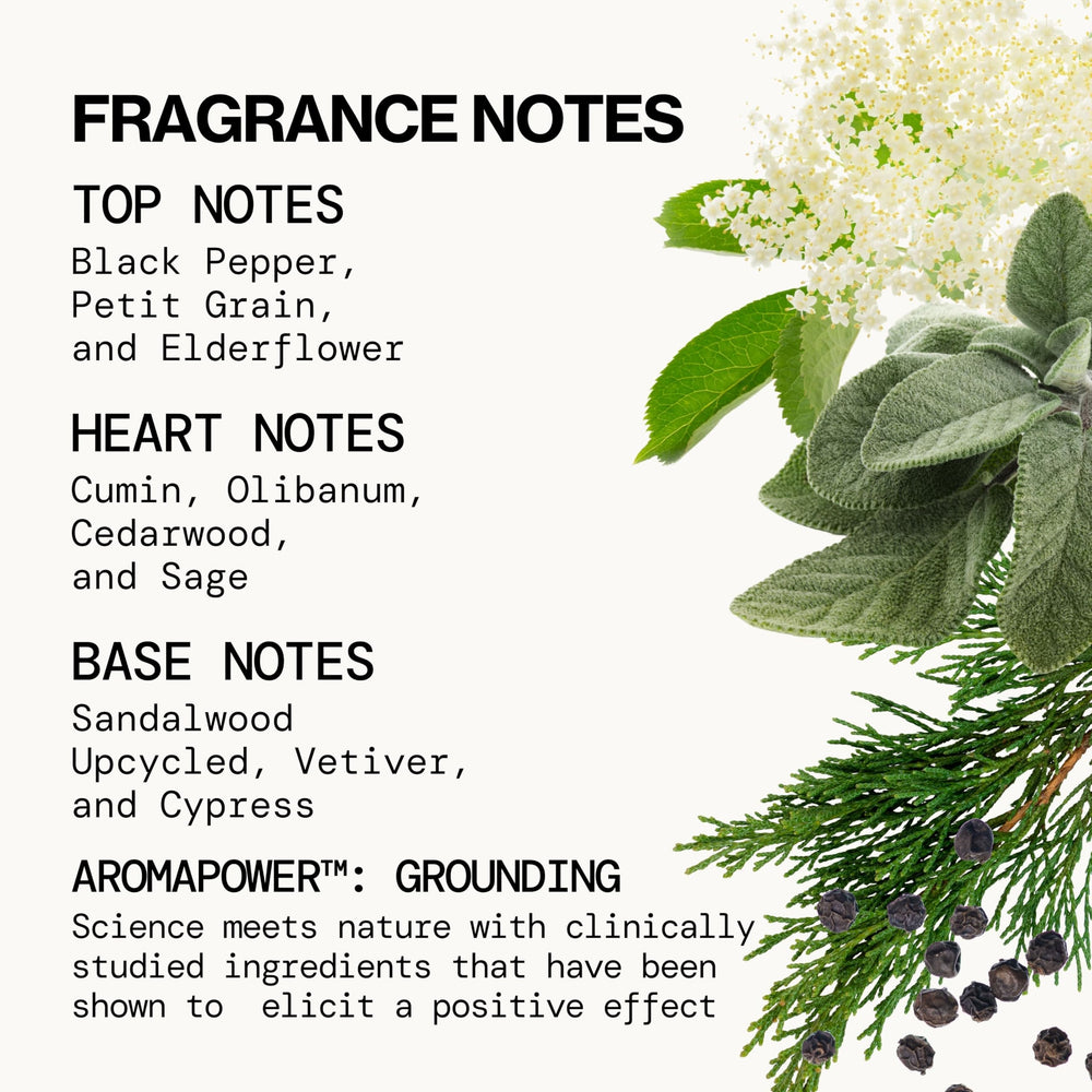 Pacifica Montana Sky elderflower top note visual emphasizes airy freshness.