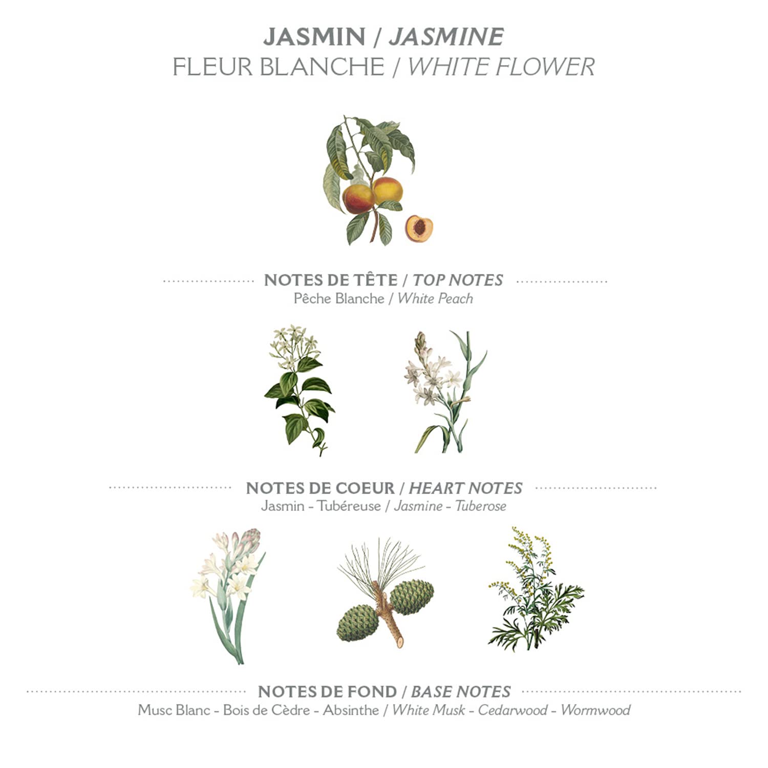 Sustainable packaging by Panier des Sens highlights eco-conscious hand care.