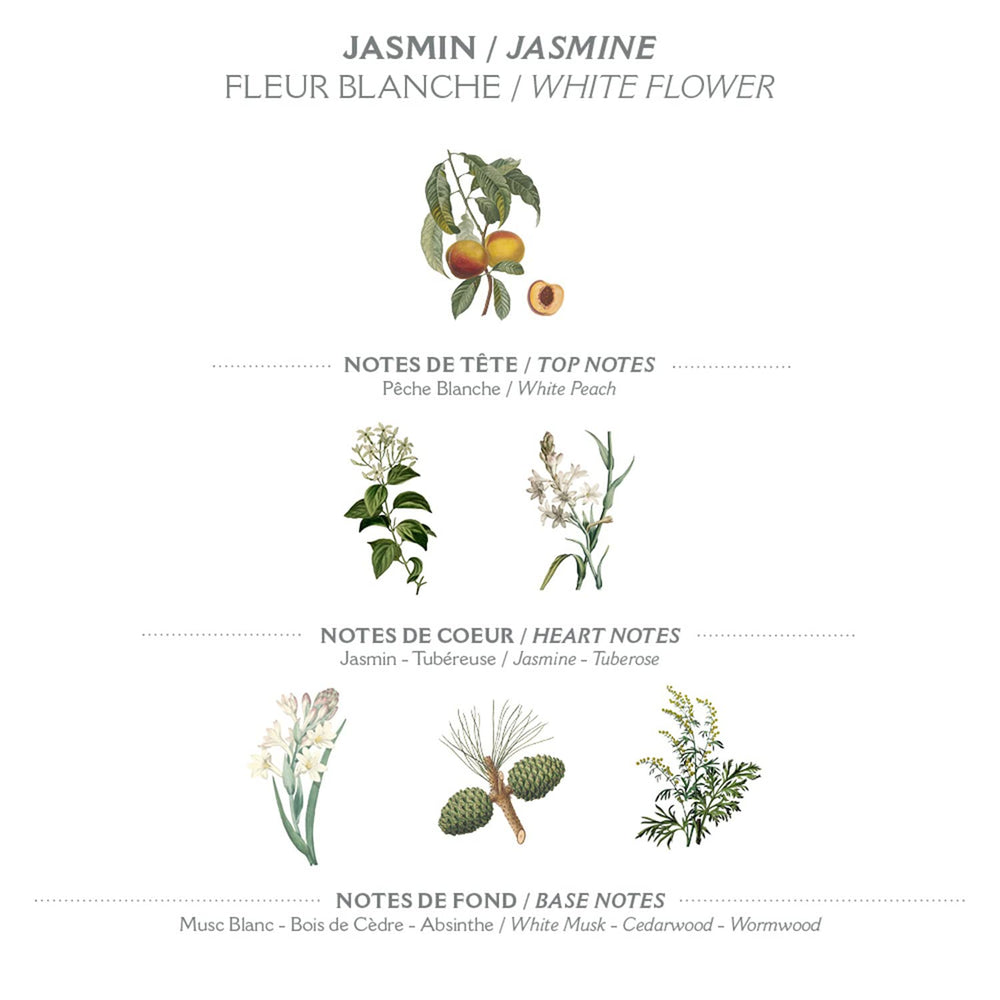 Sustainable packaging by Panier des Sens highlights eco-conscious hand care.