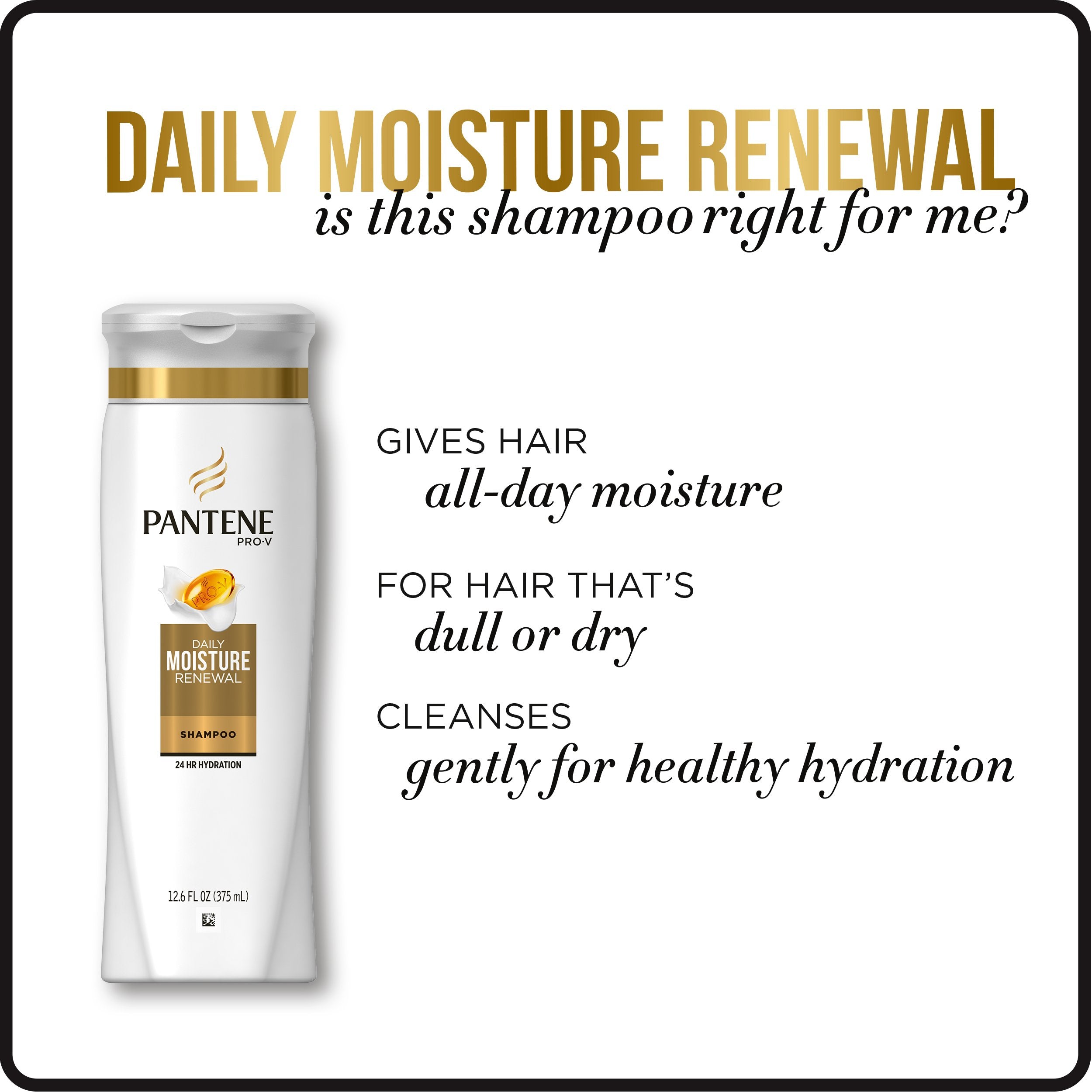 Pantene Daily Moisture Renewal duo packaging display showcases the shampoo and conditioner set.